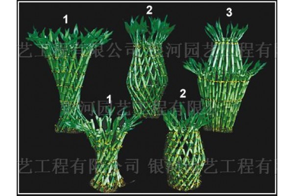 Lucky Bamboo Braided Basket