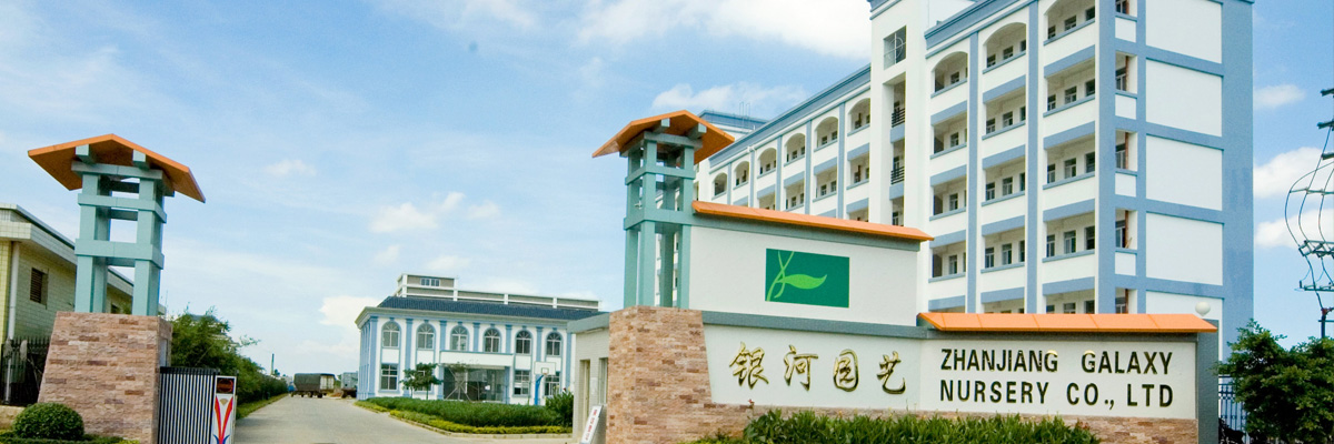 Zhanjiang Galaxy Nursery