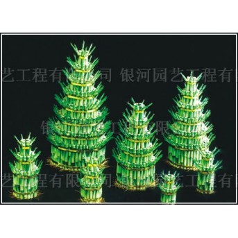 Lucky Bamboo Birthday Cake